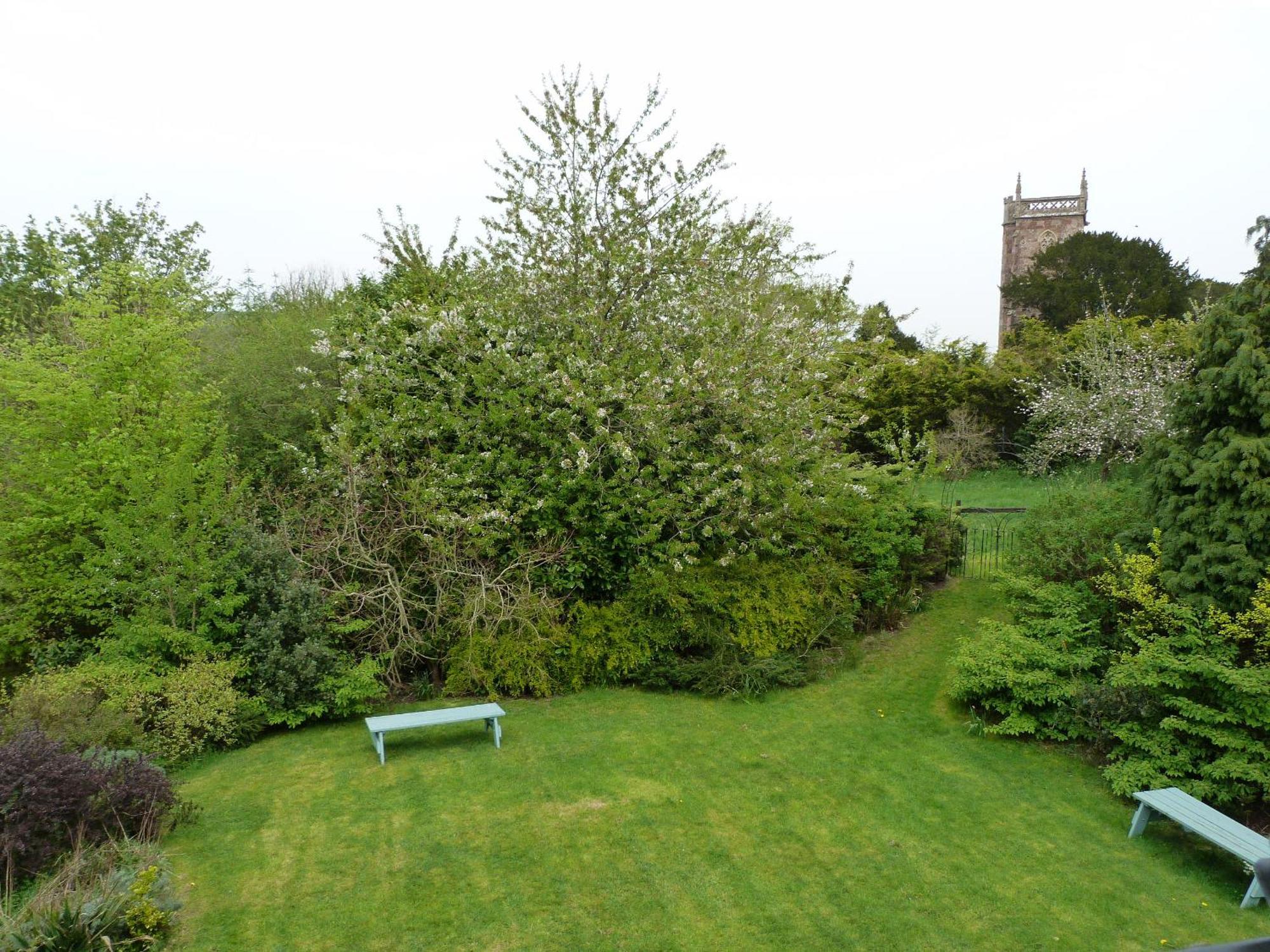 Temple Cloud Cameley Lodge - Self Catering מראה חיצוני תמונה