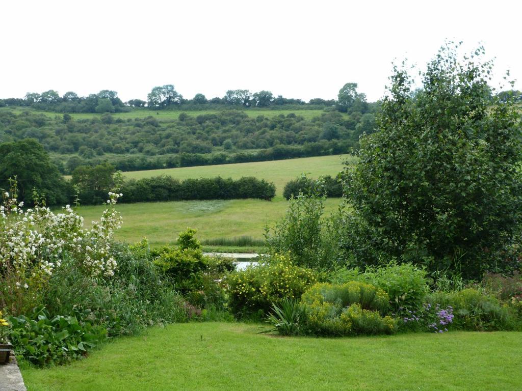 Temple Cloud Cameley Lodge - Self Catering מראה חיצוני תמונה