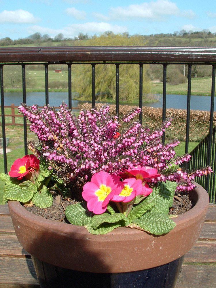 Temple Cloud Cameley Lodge - Self Catering מראה חיצוני תמונה