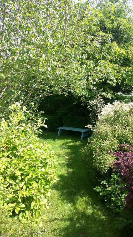 Temple Cloud Cameley Lodge - Self Catering מראה חיצוני תמונה